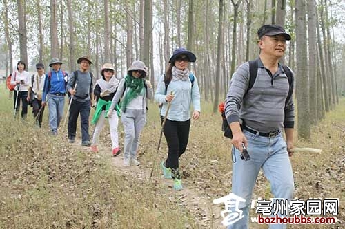 ori_5615d6ac6d86d.jpeg ori_5615d6ac6d86d.jpeg