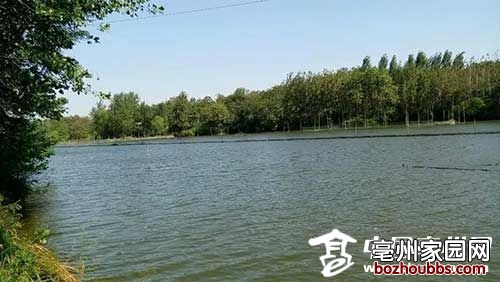 ori_5615d6add0a29.jpeg ori_5615d6add0a29.jpeg