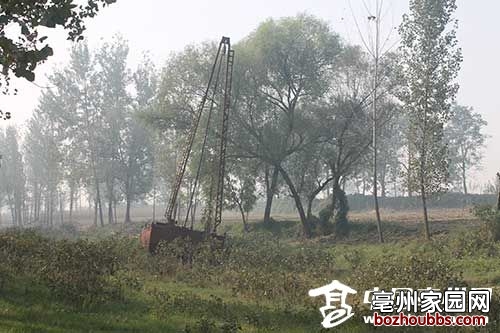 ori_5615d6af70273.jpeg ori_5615d6af70273.jpeg