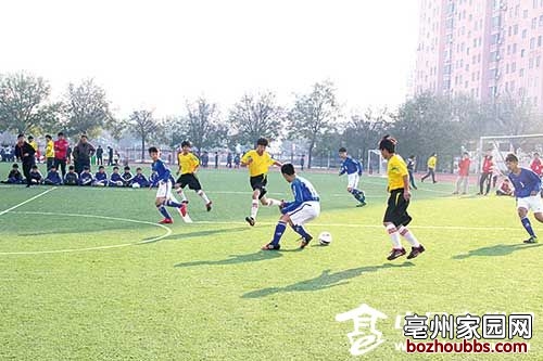 ori_5639622437cf8.jpeg ori_5639622437cf8.jpeg